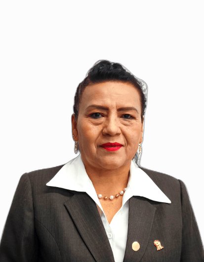 Yanet Sara Guillermina Bermudez Manchego